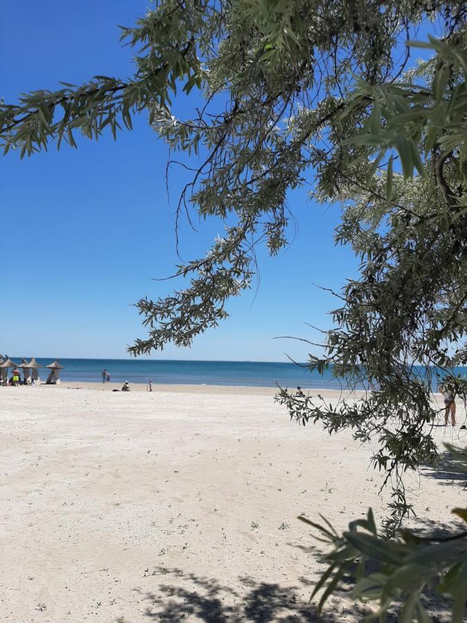 Eka Studio - Pool & Spa Beach Resort Năvodari מראה חיצוני תמונה